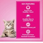 WhatsApp Image 2025-08-31 at 4.00.11 PM (1)