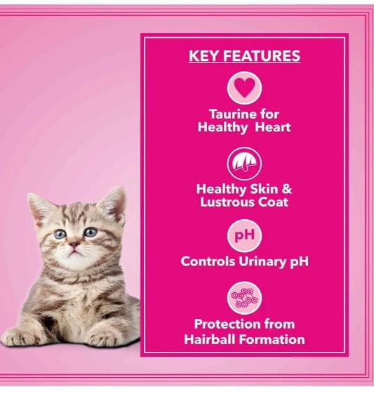 WhatsApp Image 2025-08-31 at 4.00.11 PM (1) WhatsApp Image 2025-08-31 at 4.00.11 PM (1)