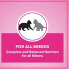 WhatsApp Image 2025-08-31 at 4.00.12 PM