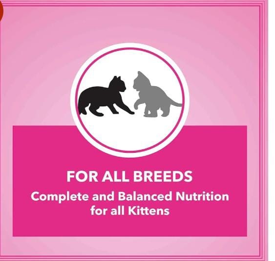 WhatsApp Image 2025-08-31 at 4.00.12 PM WhatsApp Image 2025-08-31 at 4.00.12 PM