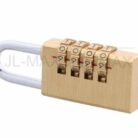 WhatsApp Image 2025-11-02 at 12.51.02 PM (1)